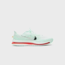 Air Zoom Pegasus Premium