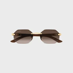CT0439S Man Wood Sunglasses
