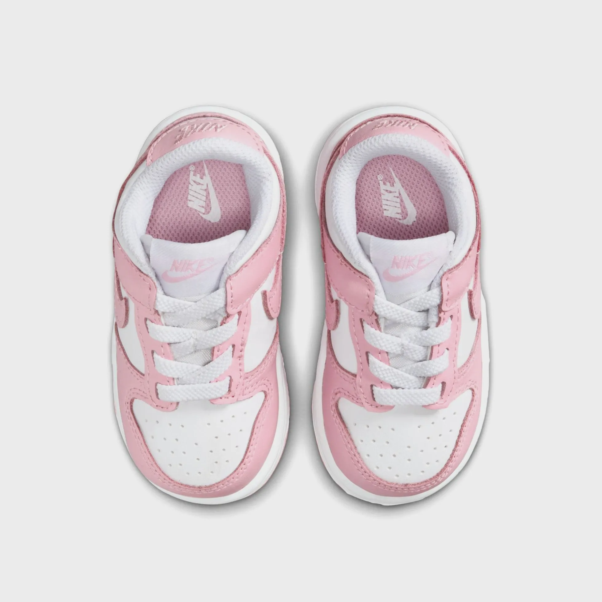 TD Dunk Low