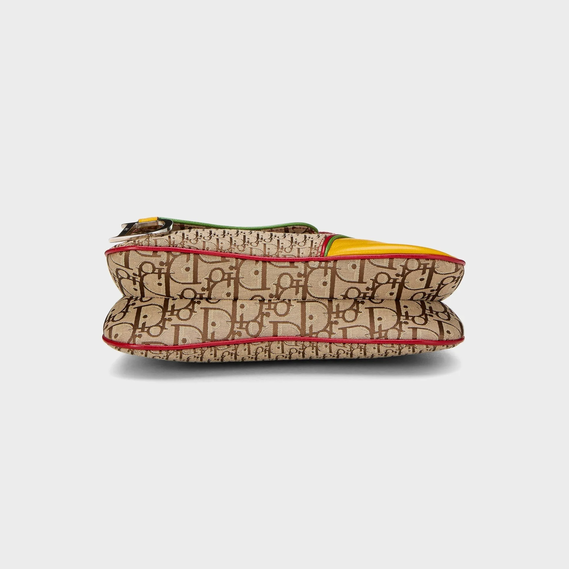WGACA Dior Trotter Rasta Double Saddle Bag