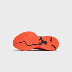 x Salomon XT